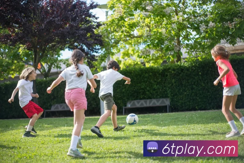 App Interface Preview