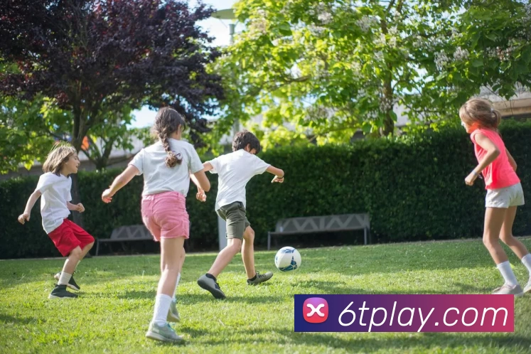 6T体育官网APP 封面图